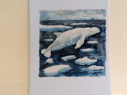 Beluga