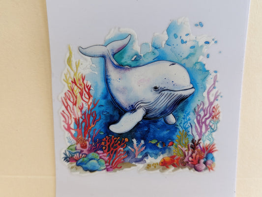 Dolphin