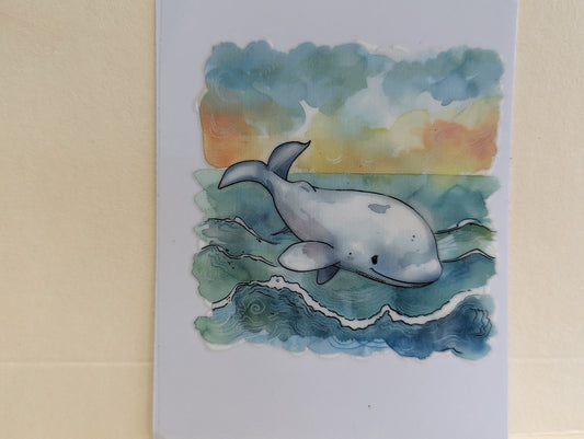 Dolphin
