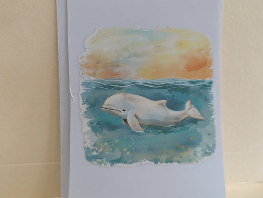Dolphin
