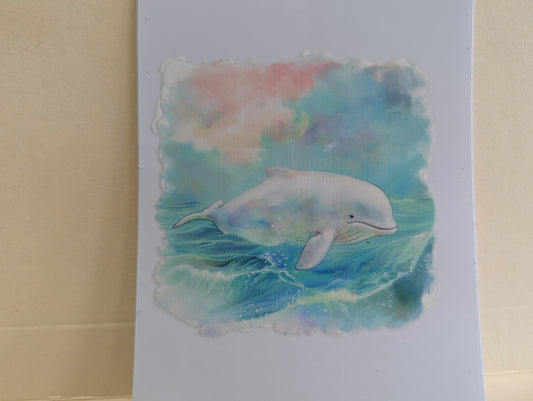 Dolphin